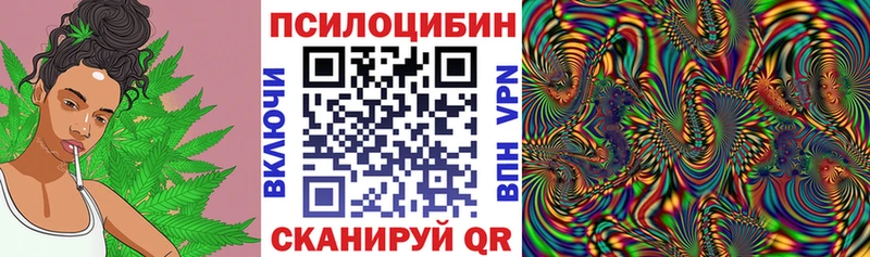 Галлюциногенные грибы GOLDEN TEACHER  Салават 